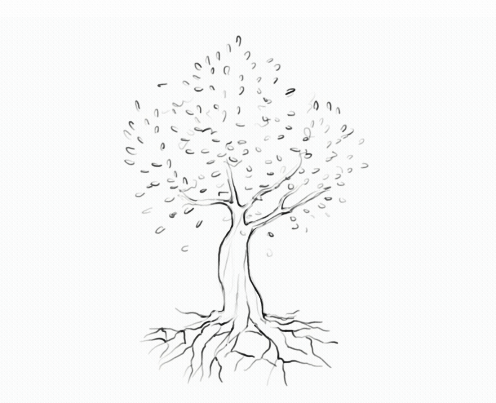 Sketch of a tree with detailed roots and branches, leaves spreading from its canopy in a delicate pencil drawing