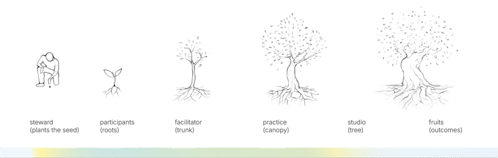 Tree growth stages diagram, showing five sequential sketches of a tree developing from a seed to a mature tree with full branches.